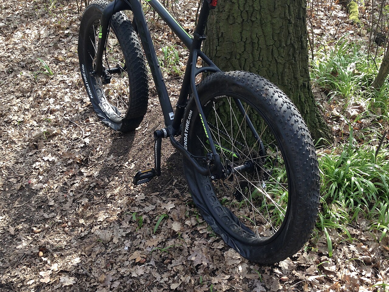 Fatbike en jongeren: bewegen we minder?